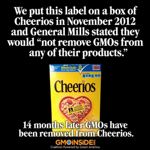 Cheerios Go Non-GMO
